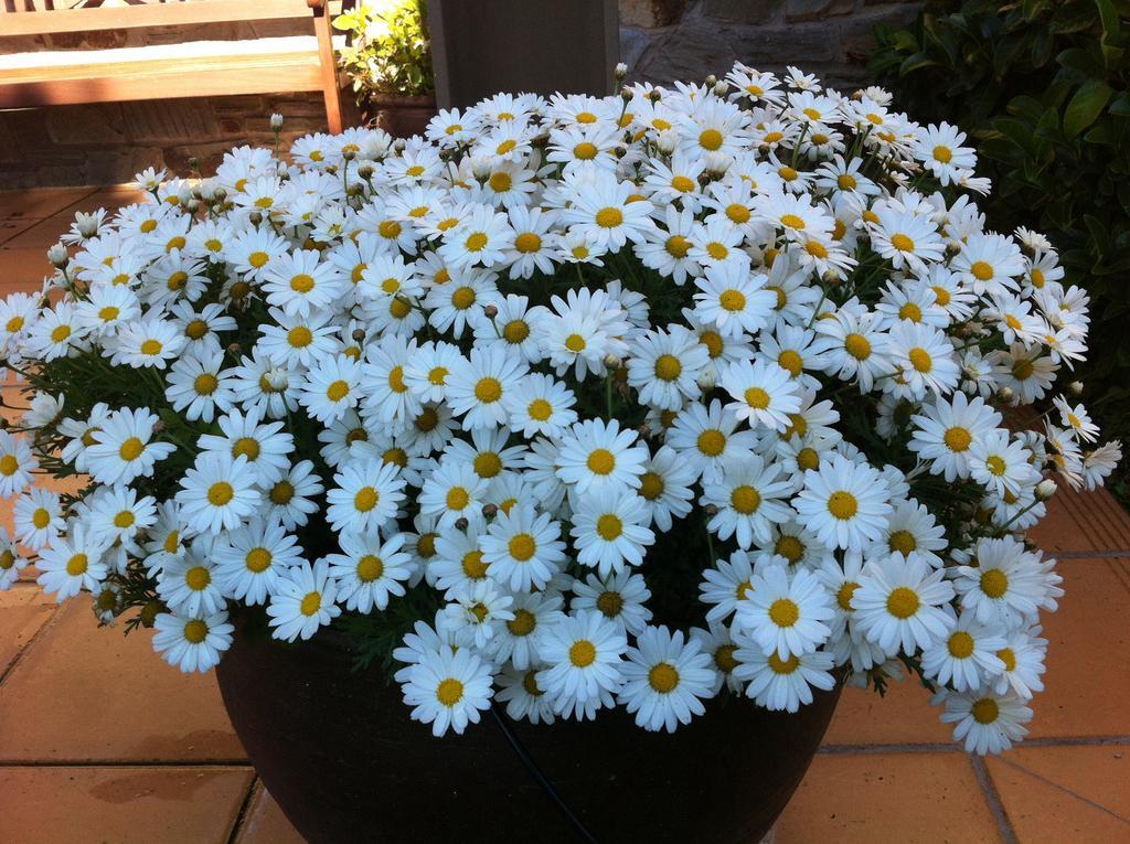 Holiday home Les Margarides *
