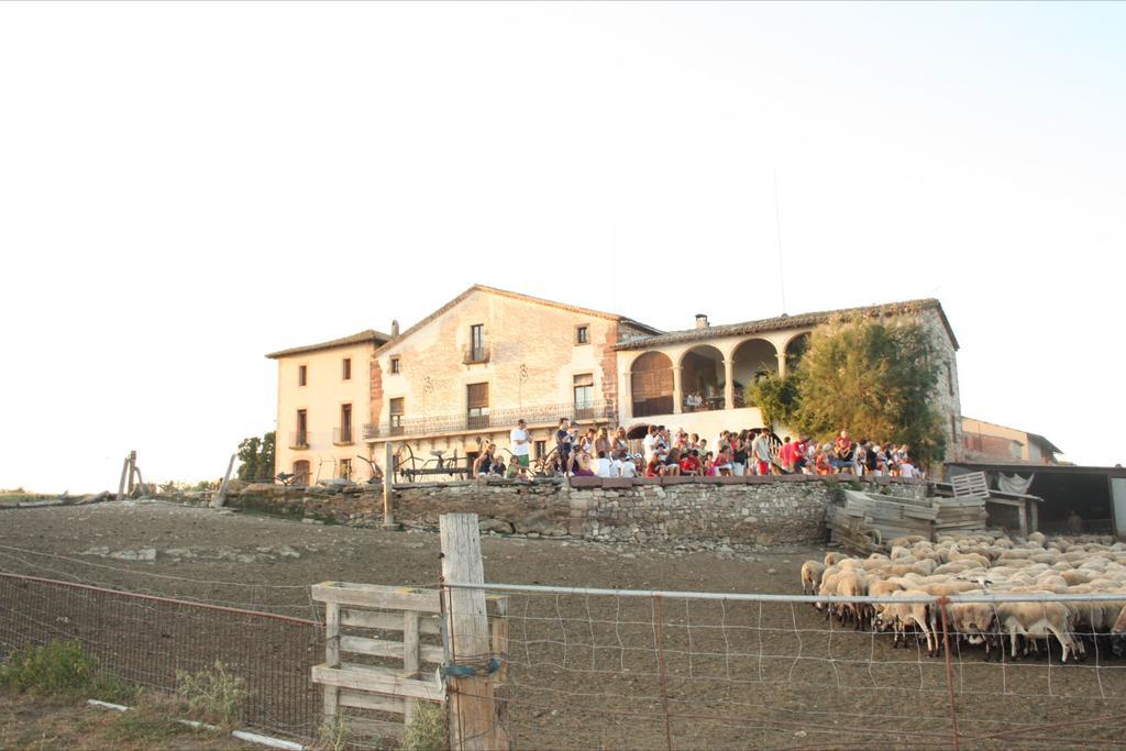 Les Margarides Seva